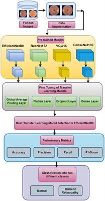 Smart grading of diabetic retinopathy: an intelligent recommendation-based fine-tuned EfficientNetB0 framework